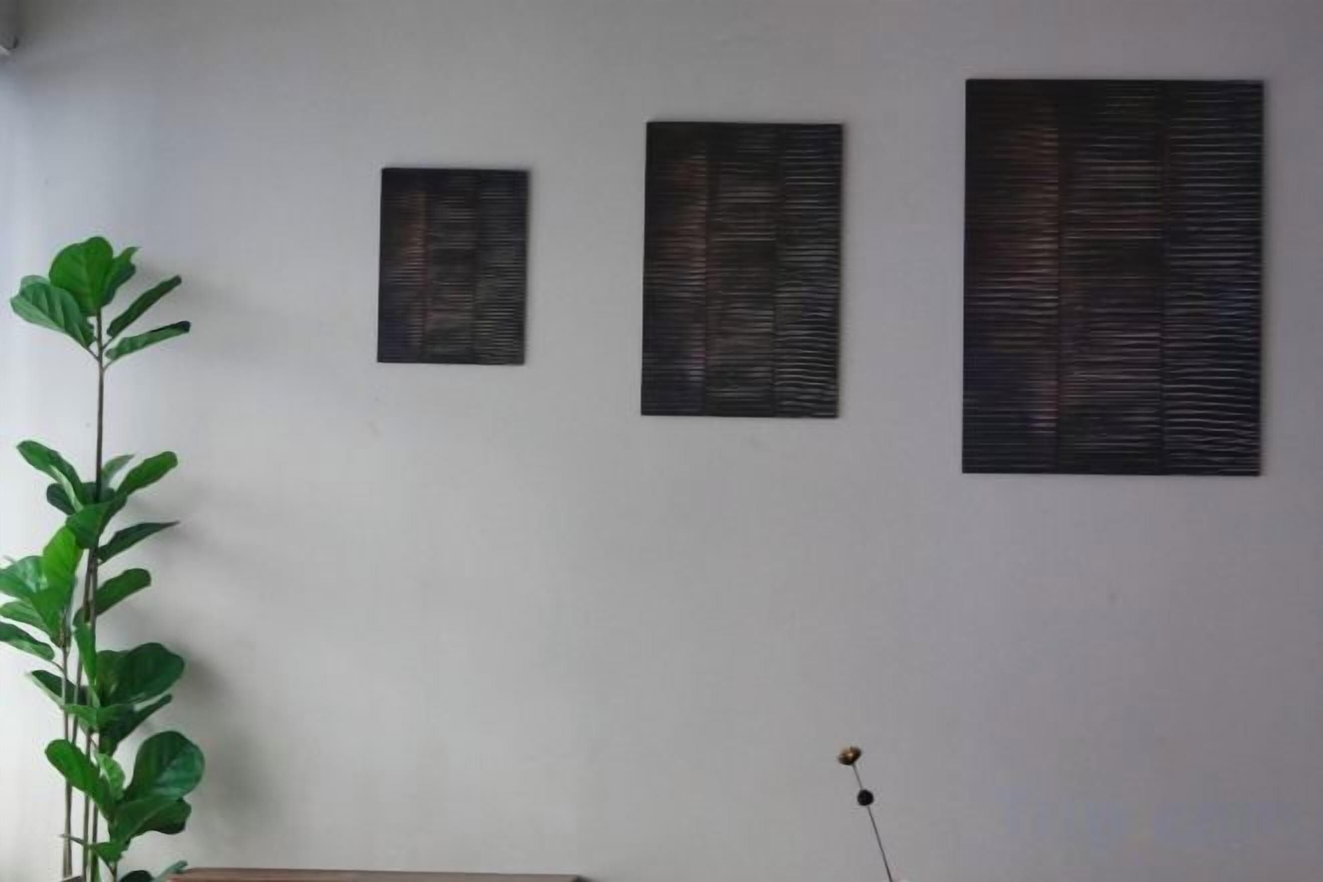 A room with a large potted plant, three wall-mounted screens, and a visible electrical outlet.
