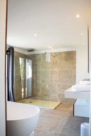 Eco-friendly toiletries, hair dryer, towels, soap