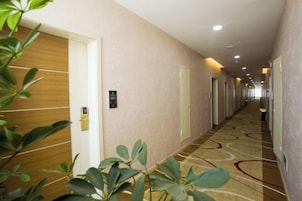 Un pasillo de hotel con puertas a ambos lados, una alfombra estampada y una planta en primer plano.
