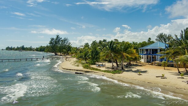 A beach with a house, palm trees, and a pier.