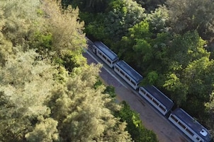 Un tren viajando por una zona boscosa.