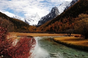 Miscellaneous - HaiziMountainGrandHotel (Daocheng County)