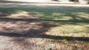 A grassy area with trees and a building in the background. - In the Beautiful redwoodss, 2acres .20 minutes from Crescent city (Crescent City,)
