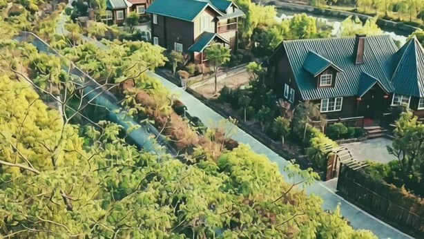 Zona residencial con varias casas, un camino y abundante vegetación.