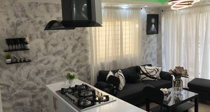 Brand new Condo in the heart of La Zone Colonial!