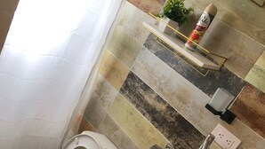 A bathroom with a toilet, sink, and a shelf with a plant and a bottle.