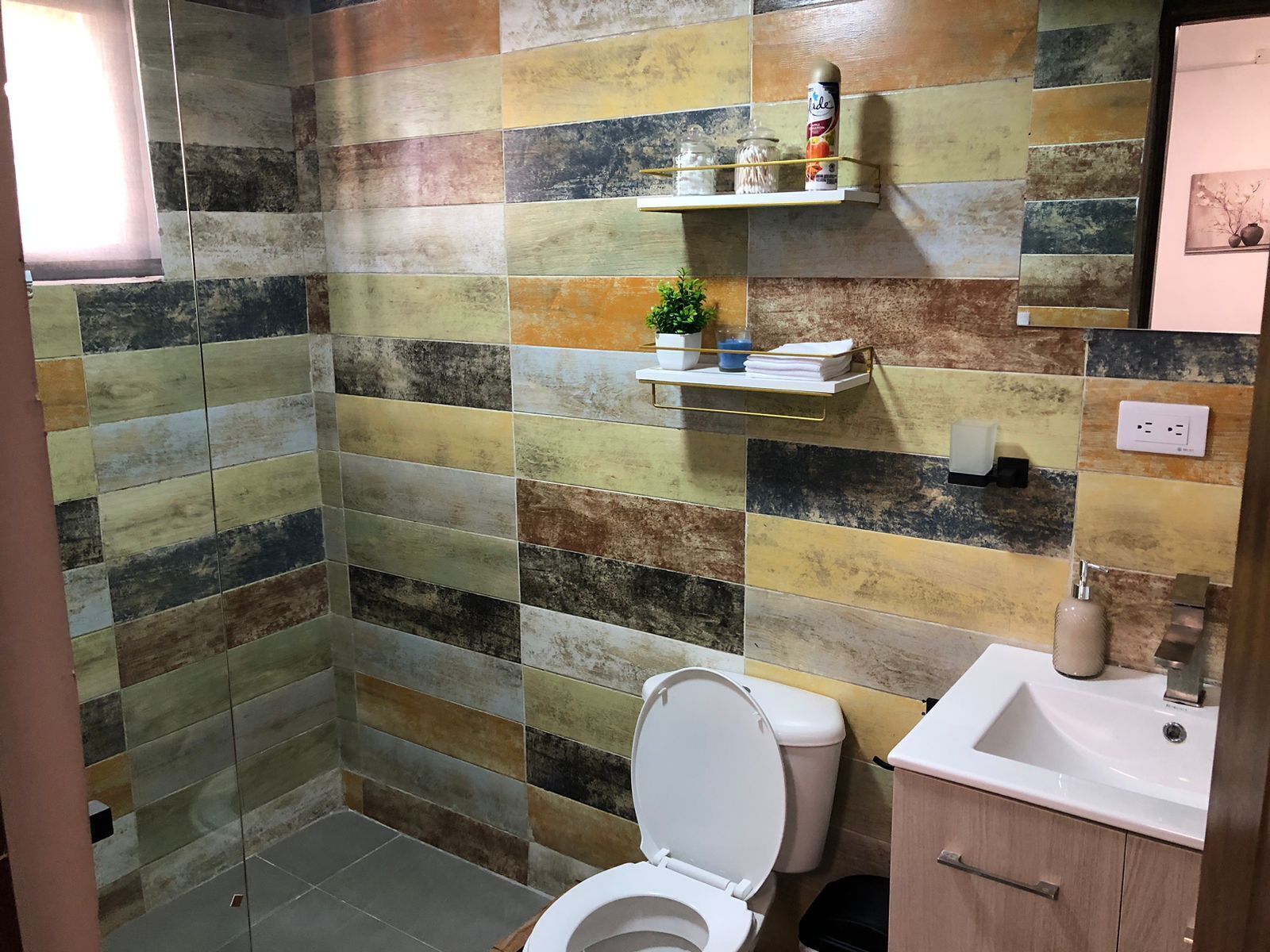 Ducha, toallas, jabón, shampoo