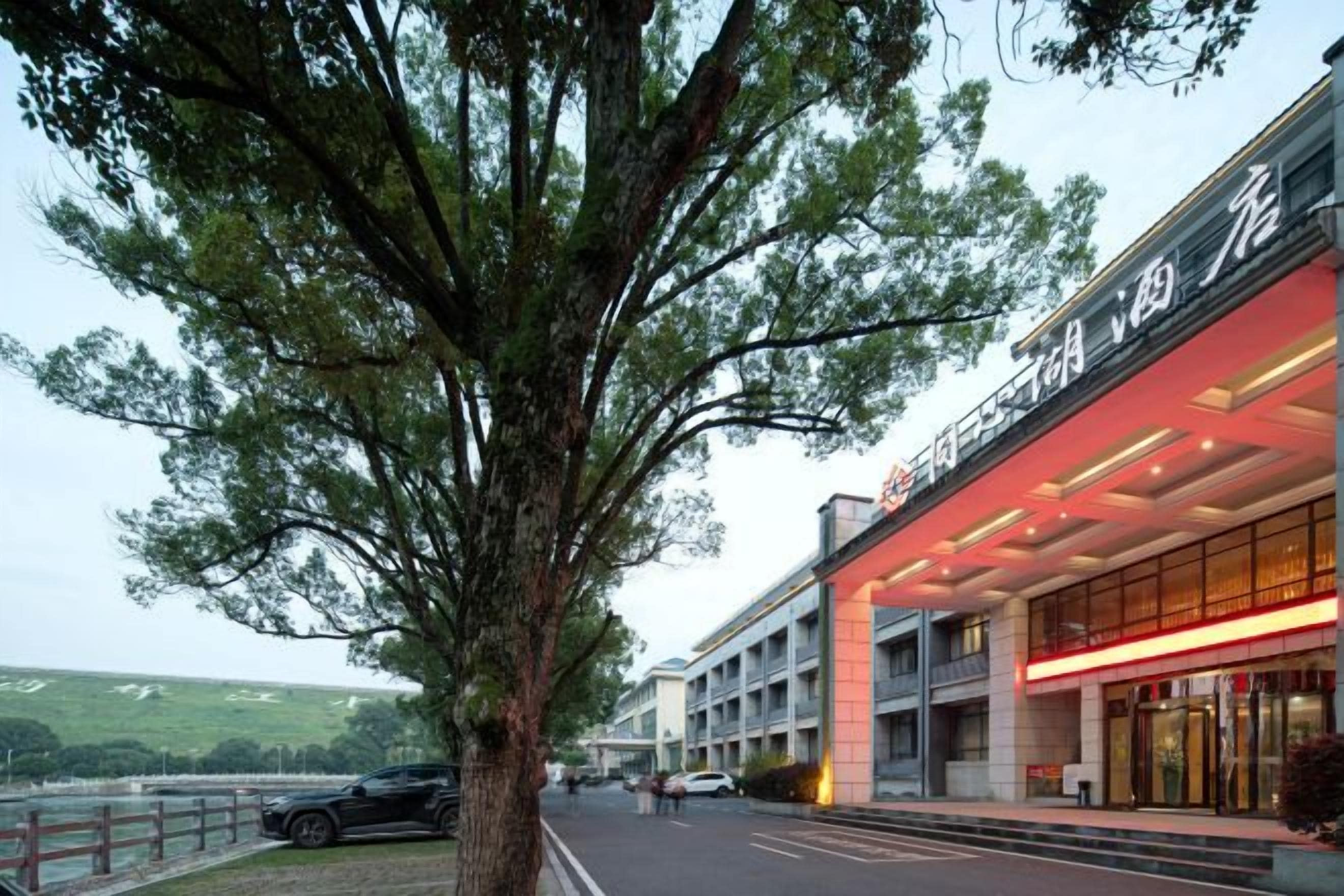 A hotel with a modern facade, a large tree in front, and a parking area with cars.