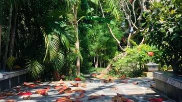 A stone pathway surrounded by lush greenery and trees.