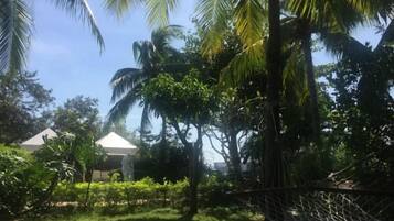 Una hamaca en un jardín exuberante con cielo despejado.