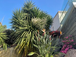 Exterior detail - Villa Entre mer et Montagne à Bastelicaccia! Le Calme à Côté Dajaccio!!! (Bastelicaccia)