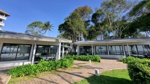 A modern building with large glass windows and a paved courtyard with greenery.