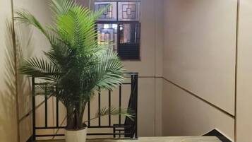 Un pasillo estrecho con una planta en maceta, una barandilla de metal negro y una ventana que ofrece vistas a un edificio.