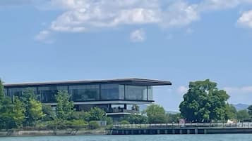 Vista desde la propiedad