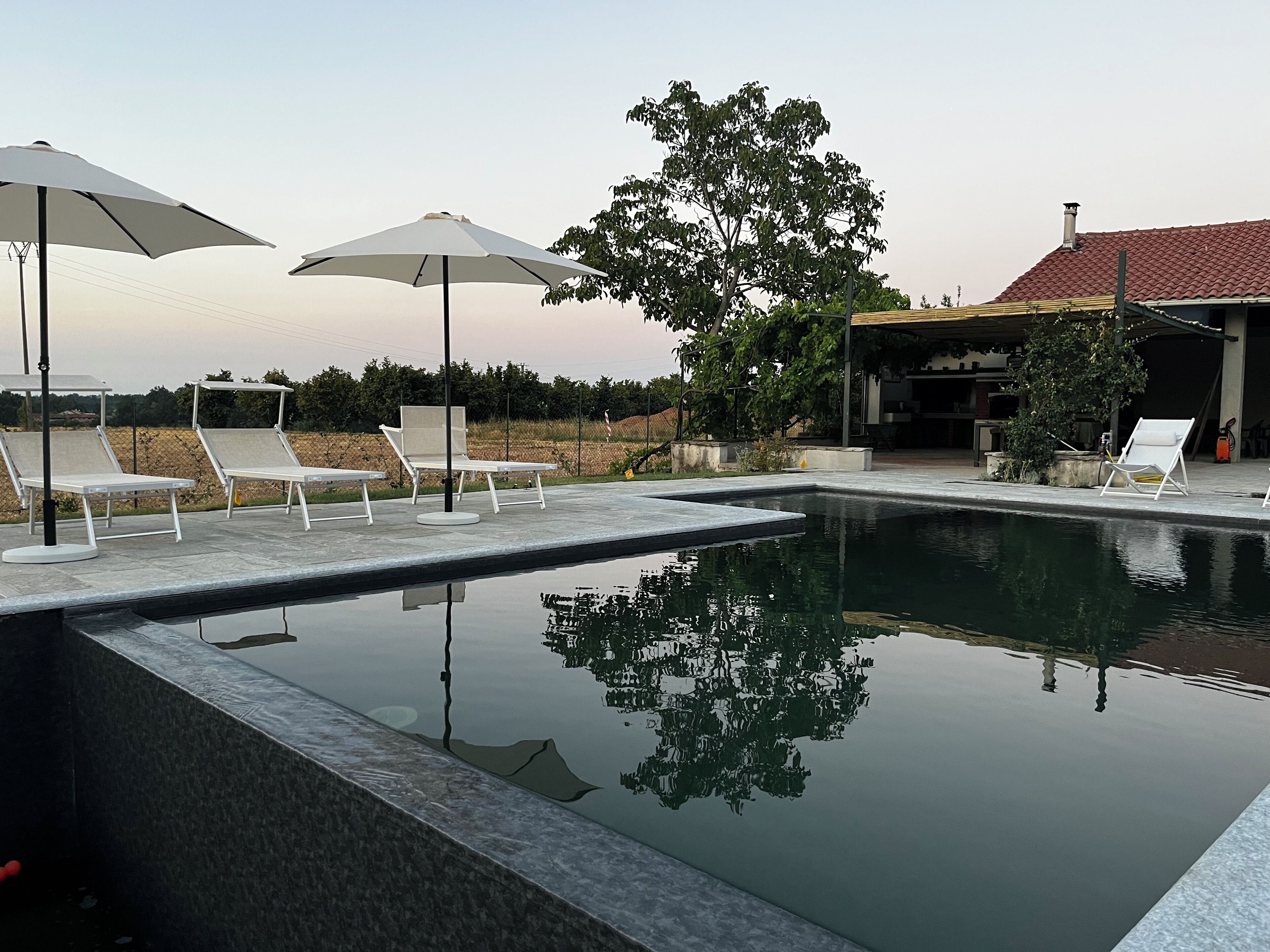 A swimming pool with lounge chairs and umbrellas, surrounded by trees and a building with a red roof.
