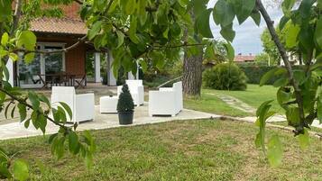 A patio area with outdoor furniture, a small tree, and a building in the background.