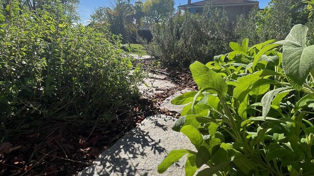 Un sentier bordé de verdure mène à une maison qui se trouve au fond du jardin.