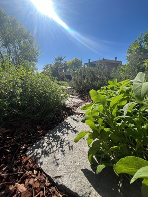 A garden pathway with greenery and a house in the background.
