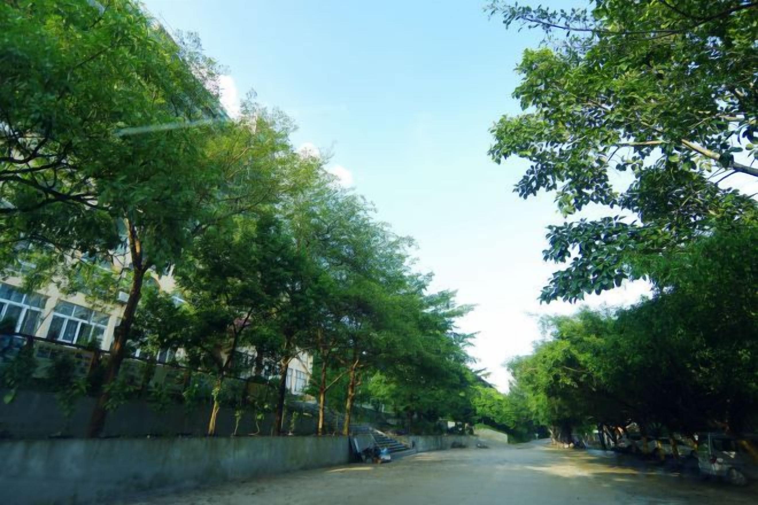 A tree-lined street with buildings on one side and a clear sky.