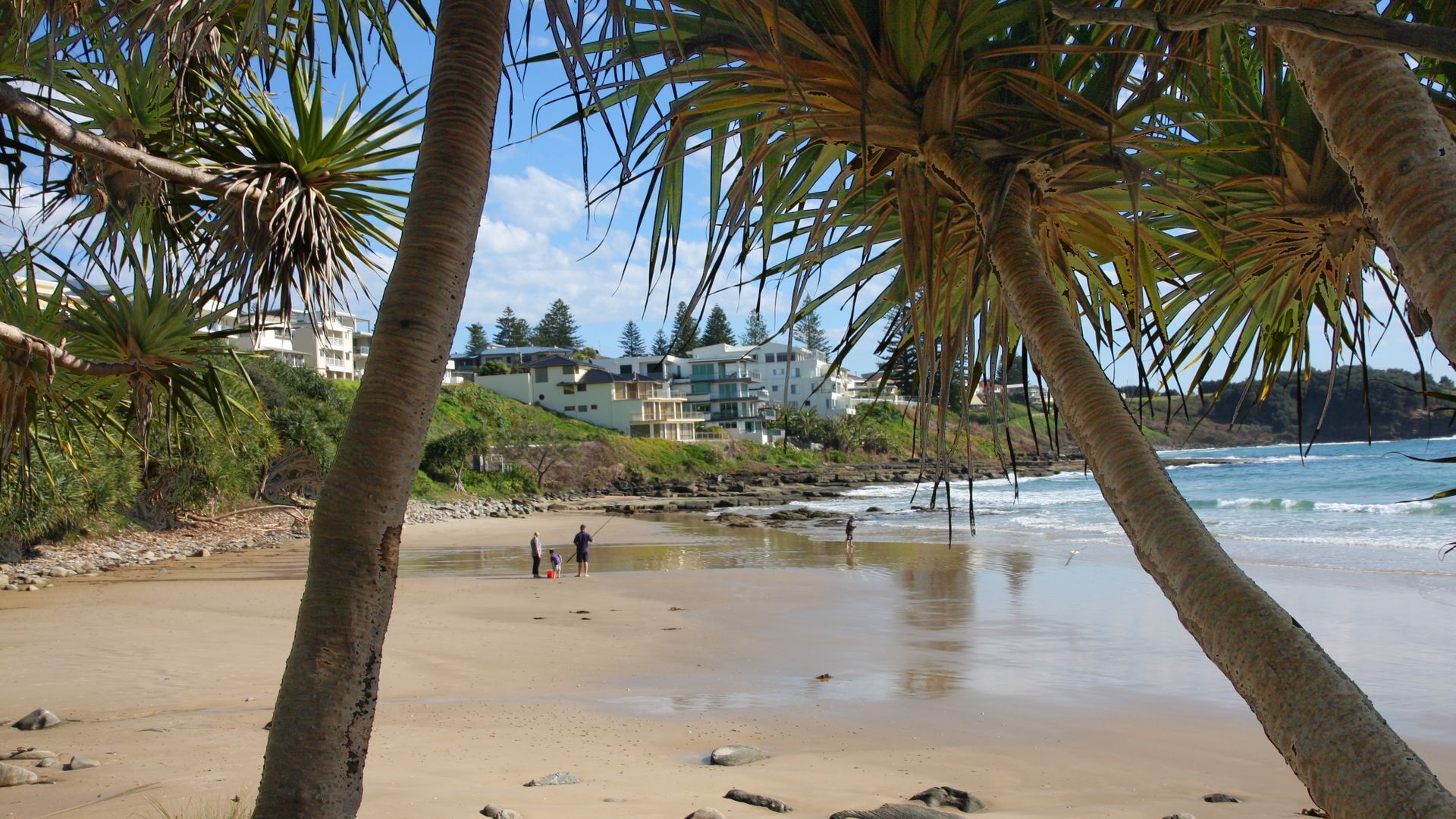 A beach with palm trees, a rocky shoreline, and buildings in the background.