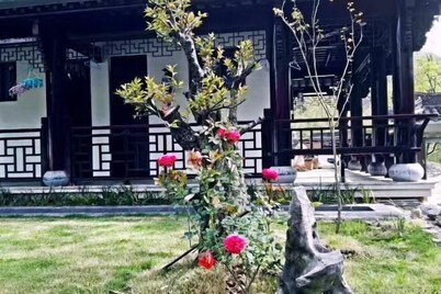 Qianxin Mountain Villa