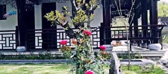 Qianxin Mountain Villa