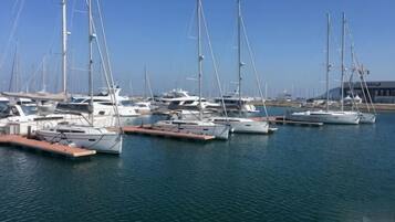Una marina amb diversos velers amarrats als molls.