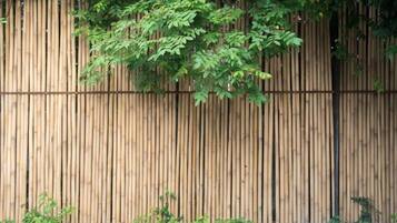 A wooden fence with climbing plants.