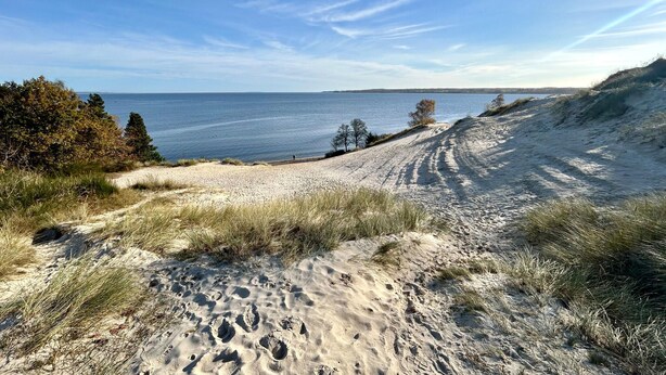 A sandy beach with footprints, a clear sky, and a distant view of the sea. - Beautiful home in Børkop with sauna (Børkop)