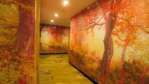 Un pasillo con murales de temática otoñal en las paredes y una alfombra estampada.