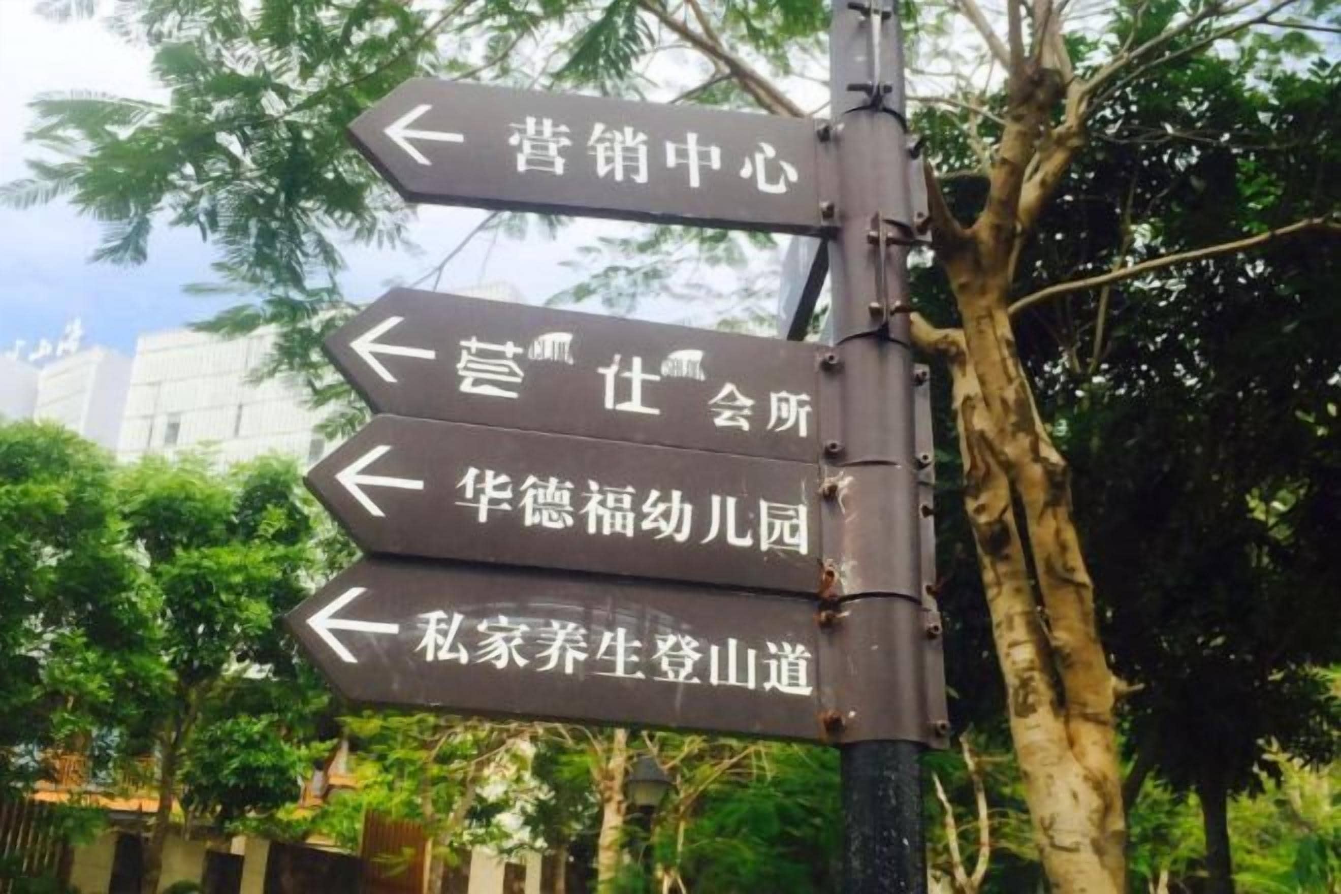 A directional signpost with multiple arrows pointing in different directions.