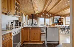 Kühlschrank, Ofen, Herdplatte, Geschirrspüler