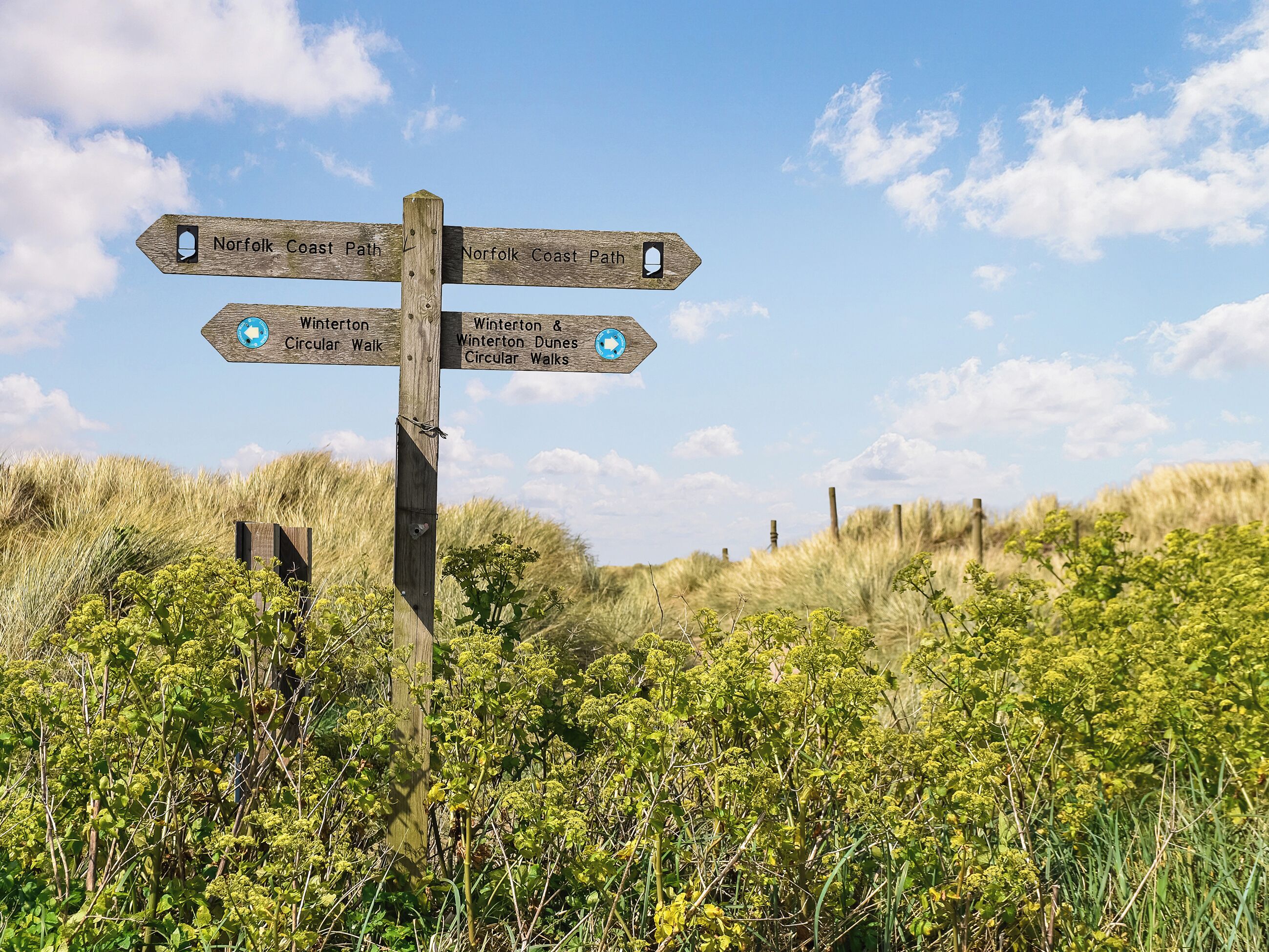 A wooden directional signpost with multiple arrows pointing towards different walking paths.