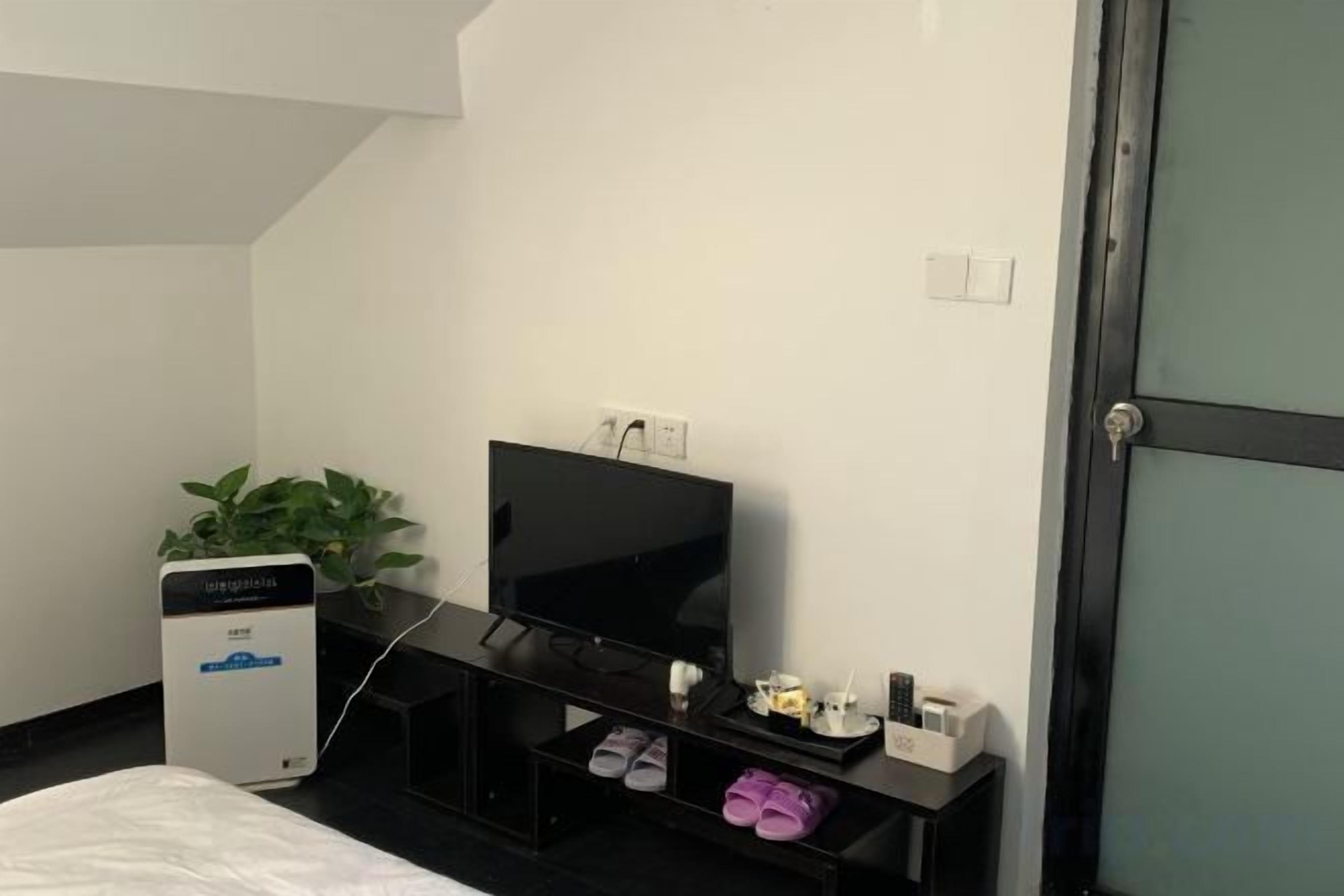 A hotel room with a bed, a television, a small desk, and a plant.