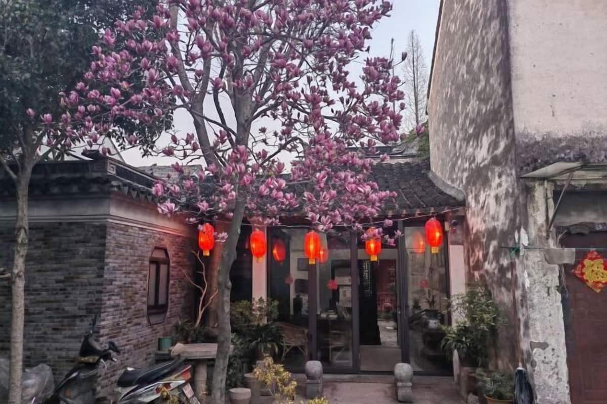 A traditional courtyard with a tree, red lanterns, and potted plants.