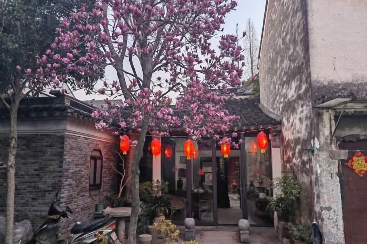 A traditional building with a brick facade, a tree with pink blossoms, and red lanterns hanging outside.