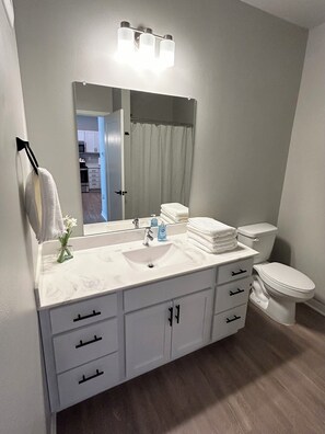 Shower, hair dryer, towels, soap