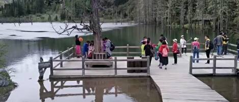 A wooden dock extending into a calm lake surrounded by trees, with people standing on it.