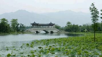 A traditional Chinese pavilion over a river with lotus flowers in the foreground.