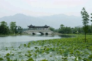 A traditional Chinese pavilion over a river with lotus flowers in the foreground. - Yongcheng Business Hotel (Qingyuan)