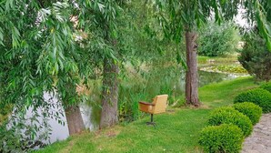 Un jardin paisible avec un bassin, une chaise en bois et des arbustes soigneusement taillés.