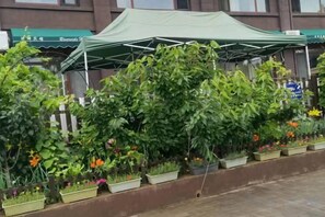 A row of potted plants under a green canopy. - Riverside Hotel (Dalian)