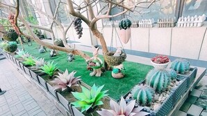 A row of artificial cacti and succulents arranged in planters along a walkway. - Riverside Hotel (Dalian)