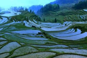 Miscellaneous - Yunhe Terraces Jiuqu Yunhuan Scenic Area Farmhouse (Yunhe)