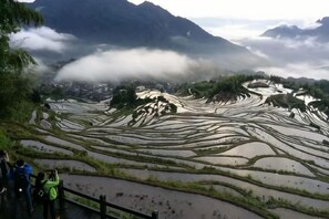 Unclassified image, 2 of 28, button - Yunhe Terraced Fields Homestay (Yunhe)