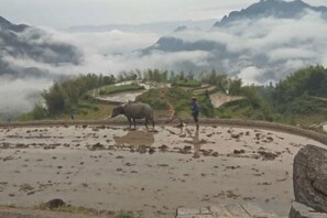 Unclassified image, 3 of 28, button - Yunhe Terraced Fields Homestay (Yunhe)