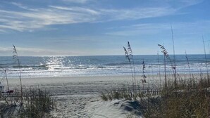 Een strand met duinen en schaarse begroeiing.