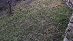 Ländliche Landschaft mit einer Steinmauer und einem grasbewachsen Feld.
