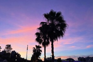 Interior - Jinkai Shengyucheng Hotel Sihui (Sihui)