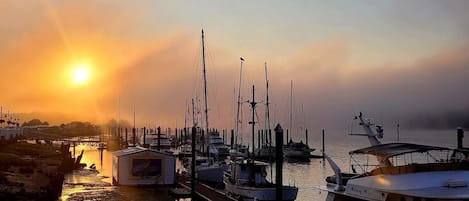 Port de plaisance